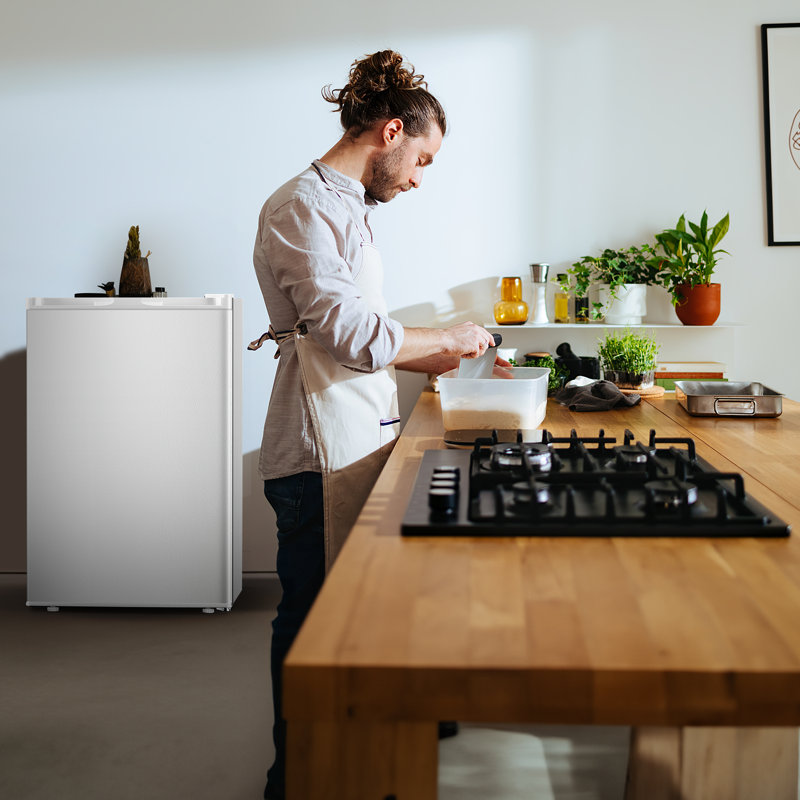 R.W.FLAME 3 Cubic Feet Upright Freezer with Adjustable Temperature